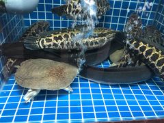 -山水人家(九堡店)