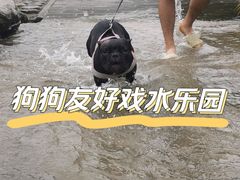 -门城湖公园