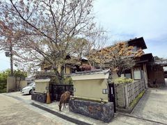 -奈良公园