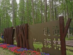 -黄海国家森林公园