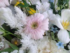 -重庆医科大学附属第一医院(金山院区)