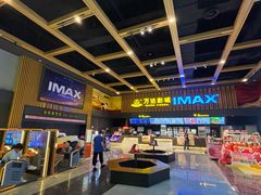 -万达影城(新乡万达广场IMAX店)