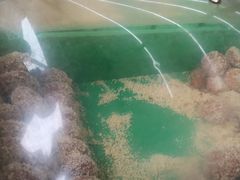 -宫廷糕点铺(双林中横路店)