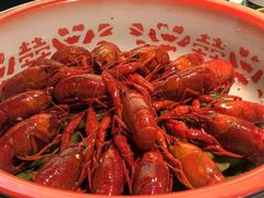 -哥老官重庆美蛙鱼头(宝山龙湖店)