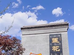 -莲花池公园