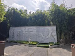 -陈家山荷花公园