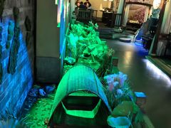 -韵秋荷(宝山龙湖天街店)