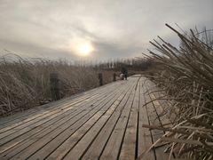 -马家湾湿地公园