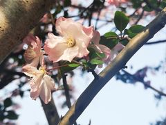 -杭州湖滨in77