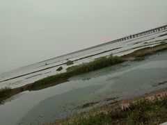 -滆湖低碳生态公园