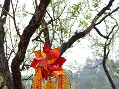 -南国桃园旅游度假区