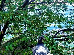 -峄山风景名胜区