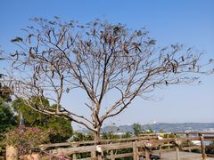 -涠洲岛火山国家地质公园