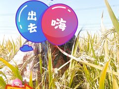 -嘉北郊野公园