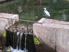 -珠海圆明新园