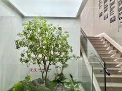 -深圳麦芽口腔医院(罗湖总院)