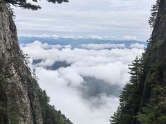 -秦岭天竺山生态文化旅游景区