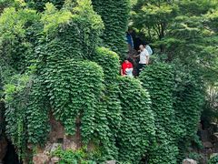 -水绘园