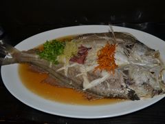 -九朝会昆曲·宴(望京店)
