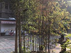 -三峡古玩城(泰古广场店)