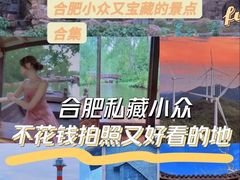 -合肥滨湖国家森林公园