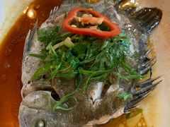 -八仔大富楼·河鲜(西江店)