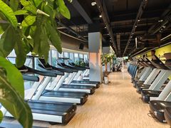 -Liking Fit 24H智能健身(旗舰店)