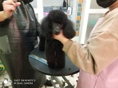 -精灵岛宠物生活馆(洪泽花园店)