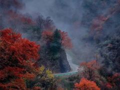 -秦岭风景区
