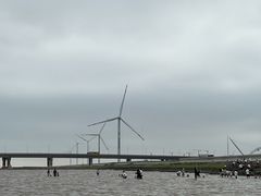 -南汇新城海滩
