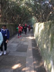 -德哥灰指甲脚气甲沟炎跖疣护理