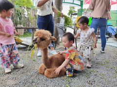-菊园百果园