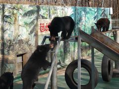 -西安秦岭野生动物园