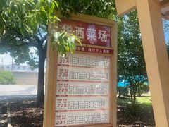 -华西村