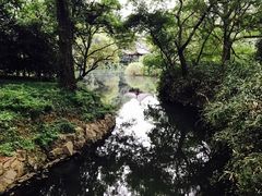 -西湖外事游船(花港观鱼码头)