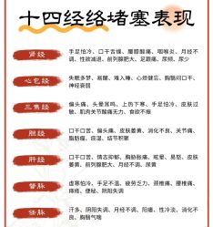 点击看大图 -玛莲朵·海菲秀冰珀科