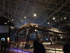 -世界恐龙谷景区