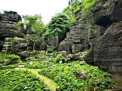 -梭布垭石林景区