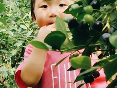 -金谷域澳洲庄园