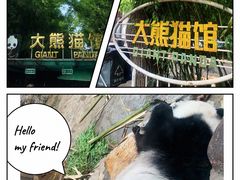 -北京动物园