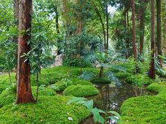 -成都市活水公园