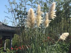 -武清南湖绿博园