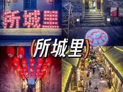 -东辰望海鱼码头·海鲜餐厅