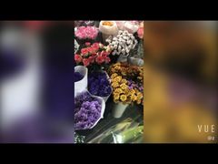 -长宁东道花卉宠物市场