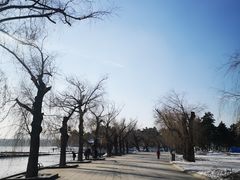 -长春市南湖公园