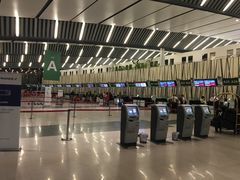 -西沃古尔·拉姆古兰爵士国际机场