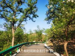 -白水寺森林公园