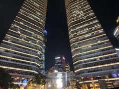 -陆家嘴世纪金融广场