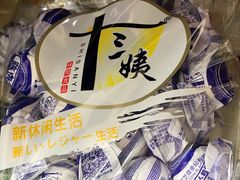 -芦庄子桂顺斋(和平路总店)