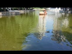 -团结湖公园